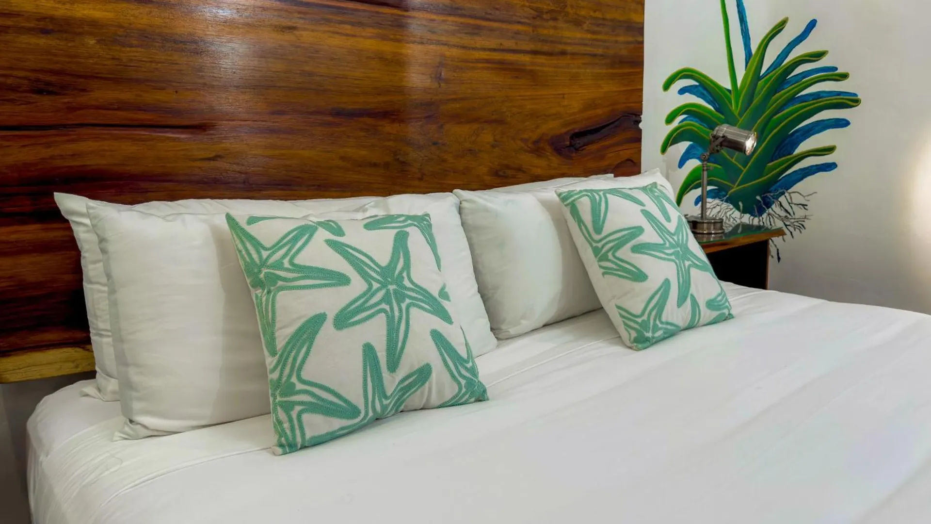 신데 델 카르멘 Casa Del Mar Bahia Espiritu Santo 빌라 멕시코